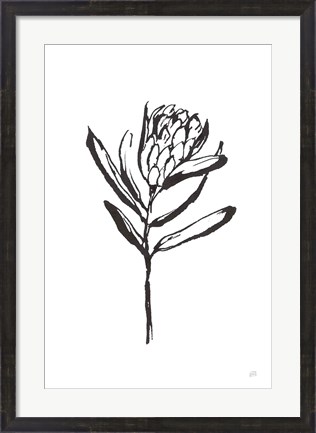 Framed Line Protea I Print
