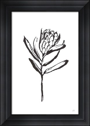 Framed Line Protea I Print