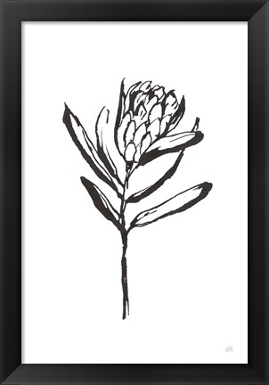 Framed Line Protea I Print