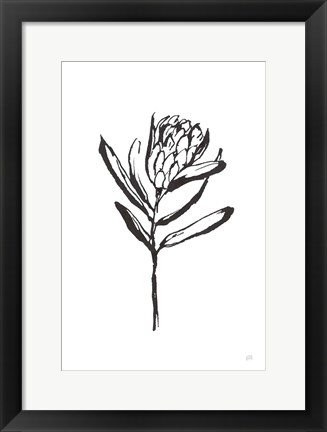 Framed Line Protea I Print