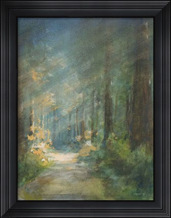 Framed Sun Soaked Redwoods Print