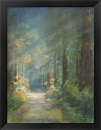 Framed Sun Soaked Redwoods Print