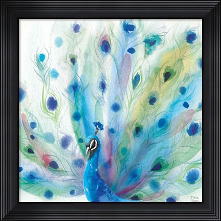 Framed Peacock Glory V Print