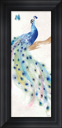 Framed Peacock Glory II Print