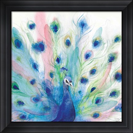 Framed Peacock Glory IV Print