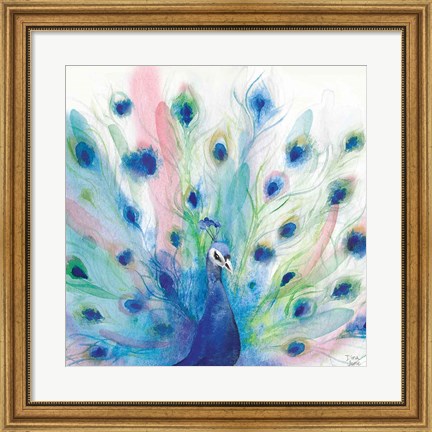 Framed Peacock Glory IV Print