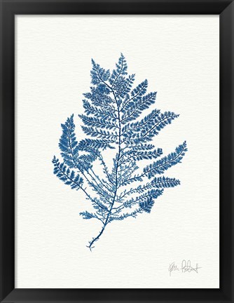 Framed Sea Garden III Royal Blue Print