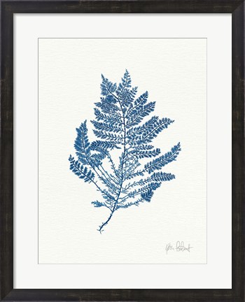 Framed Sea Garden III Royal Blue Print