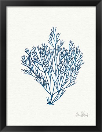 Framed Sea Garden II Royal Blue Print