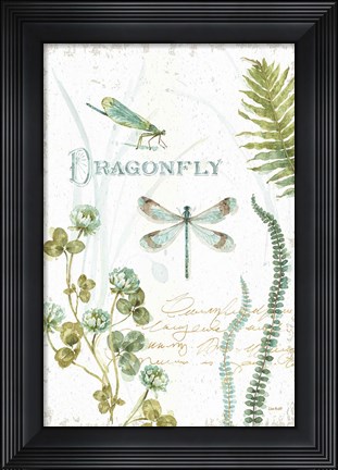 Framed My Greenhouse Botanical Dragonfly Print