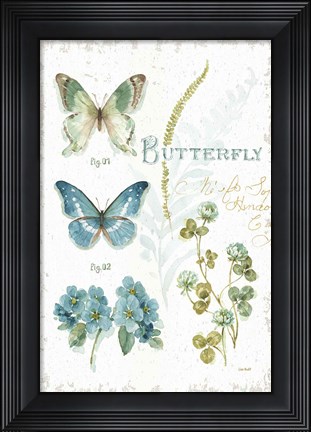 Framed My Greenhouse Botanical Butterfly Print