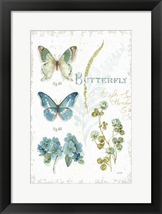 Framed My Greenhouse Botanical Butterfly Print