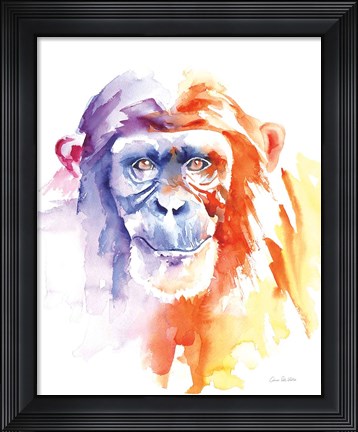 Framed Chimpanzee II Print