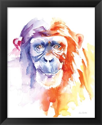 Framed Chimpanzee II Print