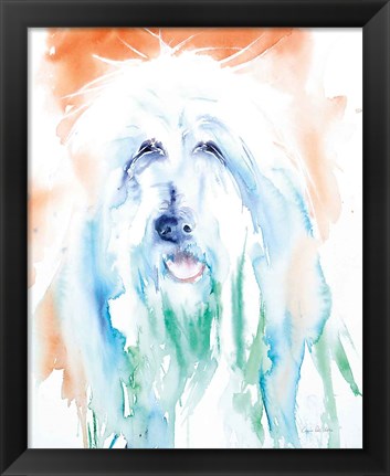 Framed Sheep Dog Print