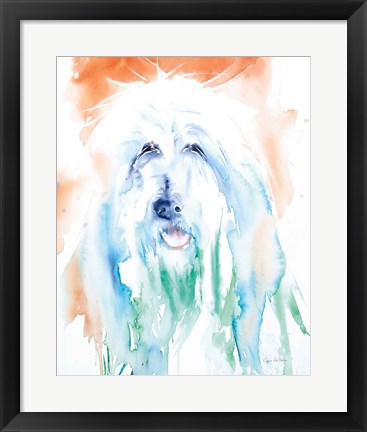 Framed Sheep Dog Print