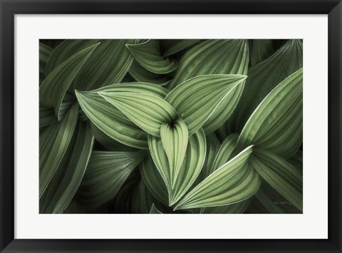 Framed Corn Lily II Print