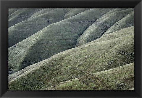 Framed Columbia Plateau Oregon Print