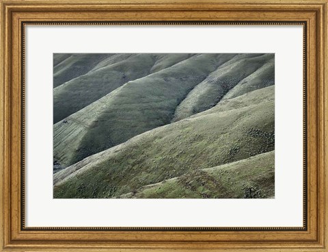 Framed Columbia Plateau Oregon Print