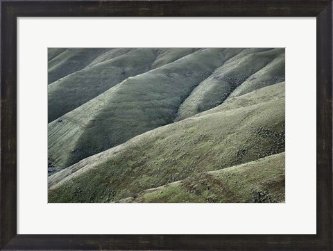 Framed Columbia Plateau Oregon Print