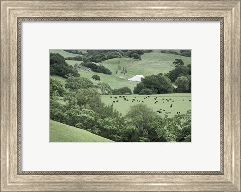 Framed Marin California Ranch Print