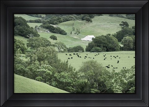 Framed Marin California Ranch Print