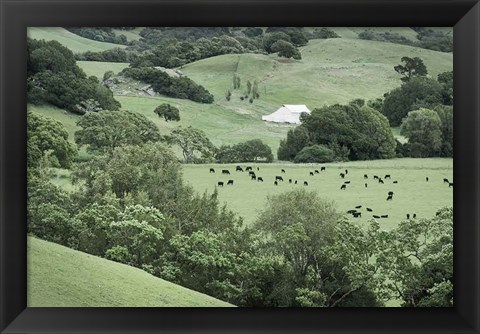 Framed Marin California Ranch Print