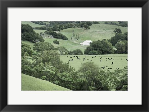 Framed Marin California Ranch Print