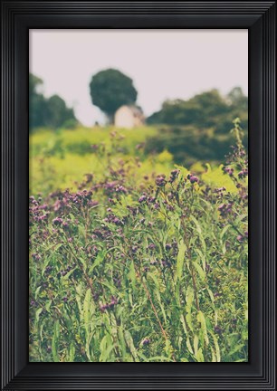 Framed Roadside Flowers Print