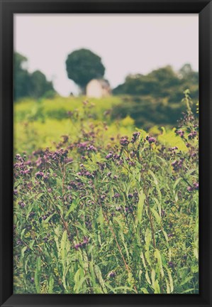 Framed Roadside Flowers Print