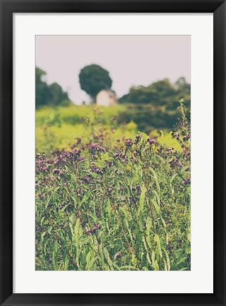 Framed Roadside Flowers Print