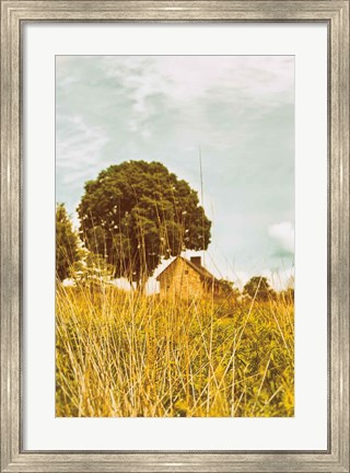 Framed Grass and Sky Print
