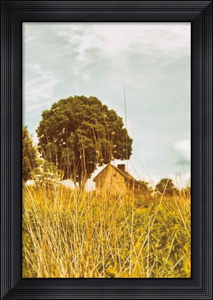 Framed Grass and Sky Print