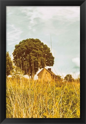 Framed Grass and Sky Print