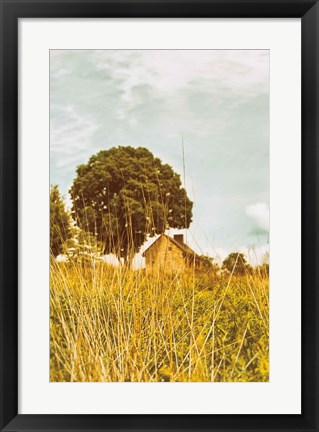 Framed Grass and Sky Print