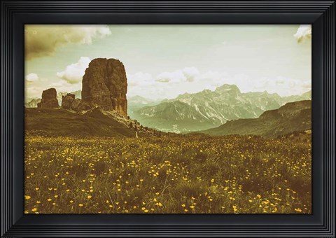 Framed Floral Fields Print
