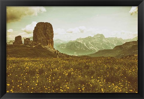 Framed Floral Fields Print