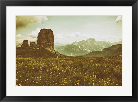 Framed Floral Fields Print