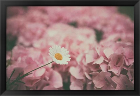 Framed Daisy Dreams Print