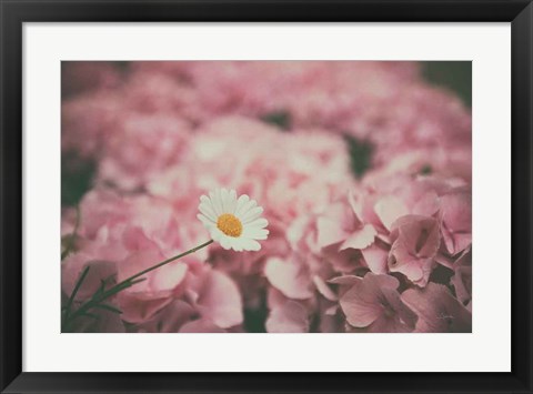 Framed Daisy Dreams Print