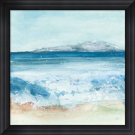 Framed Coastal IV Print