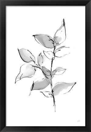 Framed Wash Leaf II Print