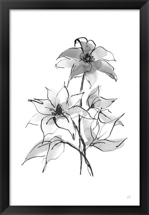 Framed Wash Clematis Print