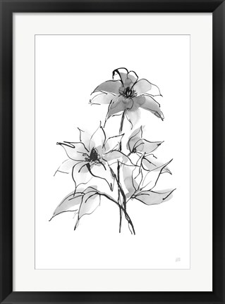 Framed Wash Clematis Print