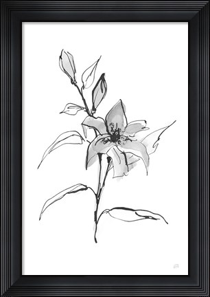 Framed Wash Tiger Lily Print