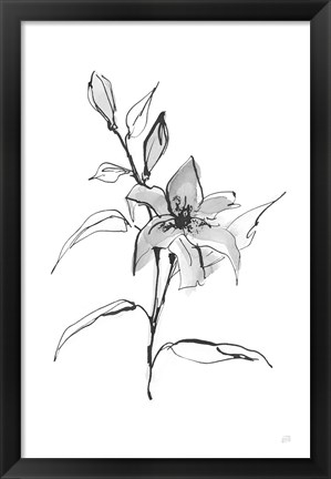 Framed Wash Tiger Lily Print