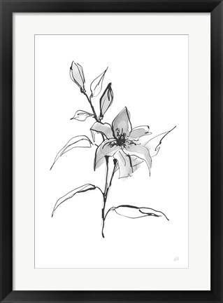 Framed Wash Tiger Lily Print