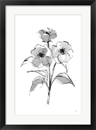 Framed Wash Poppy II Print