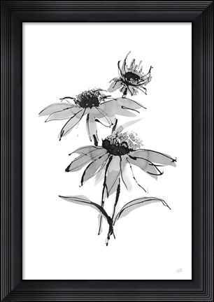 Framed Wash Echinacea II Print