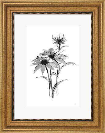 Framed Wash Echinacea I Print
